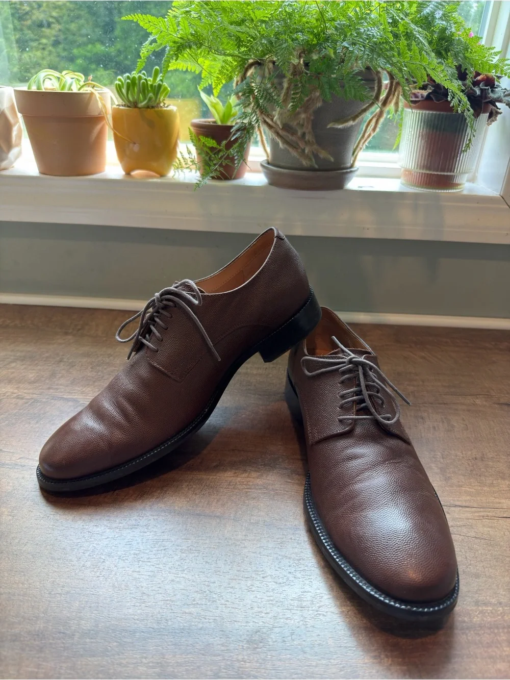 Cole Haan Men's Brown Leather Derby Shoes - Grained Lace-Up 9